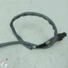 Sonde lambda noir  Ktm 790 duke l 2021 - Cassetom - Nos pieces motos