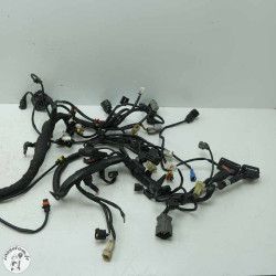 Faisceau éléctrique  Ktm 1290 super duck gt 2017 - Cassetom - Nos pieces motos