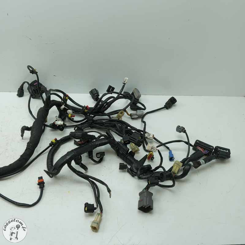 Faisceau éléctrique  Ktm 1290 super duck gt 2017 - Cassetom - Nos pieces motos