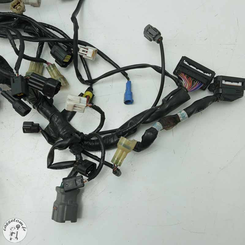 Faisceau éléctrique  Ktm 1290 super duck gt 2017 - Cassetom - Nos pieces motos