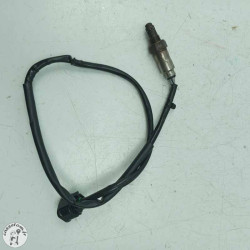 Sonde lambda  Honda 650 cbr ra 2022 - Cassetom - Nos pieces motos