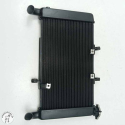 Radiateur d'eau  Honda 650 cbr ra 2022 - Cassetom - Nos pieces motos