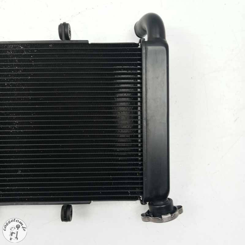 Radiateur d'eau  Honda 650 cbr ra 2022 - Cassetom - Nos pieces motos