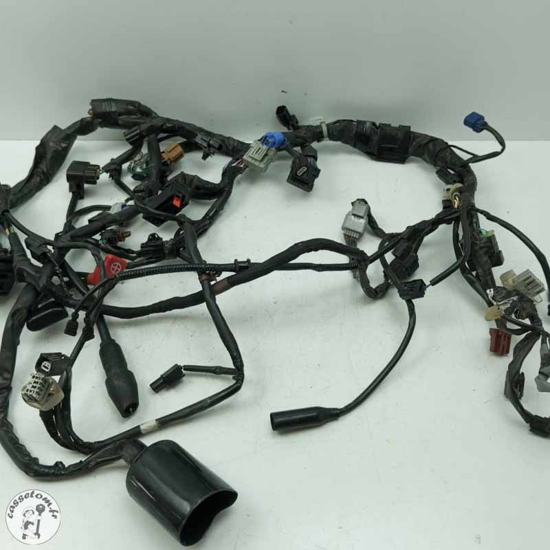 Faisceau éléctrique  Honda 650 cbr ra 2022 - Cassetom - Nos pieces motos