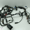 Faisceau éléctrique  Honda 650 cbr ra 2022 - Cassetom - Nos pieces motos