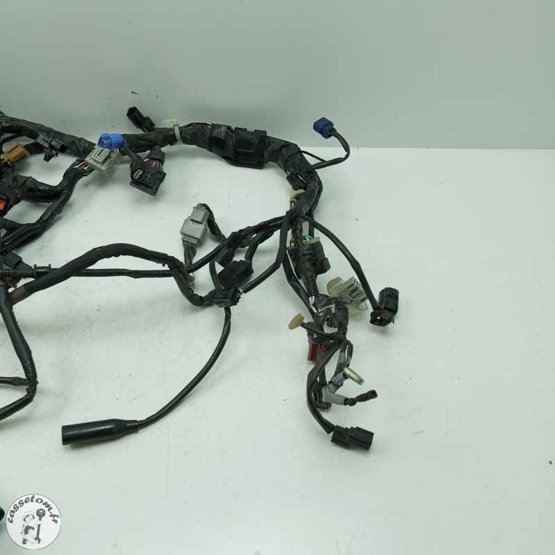 Faisceau éléctrique  Honda 650 cbr ra 2022 - Cassetom - Nos pieces motos
