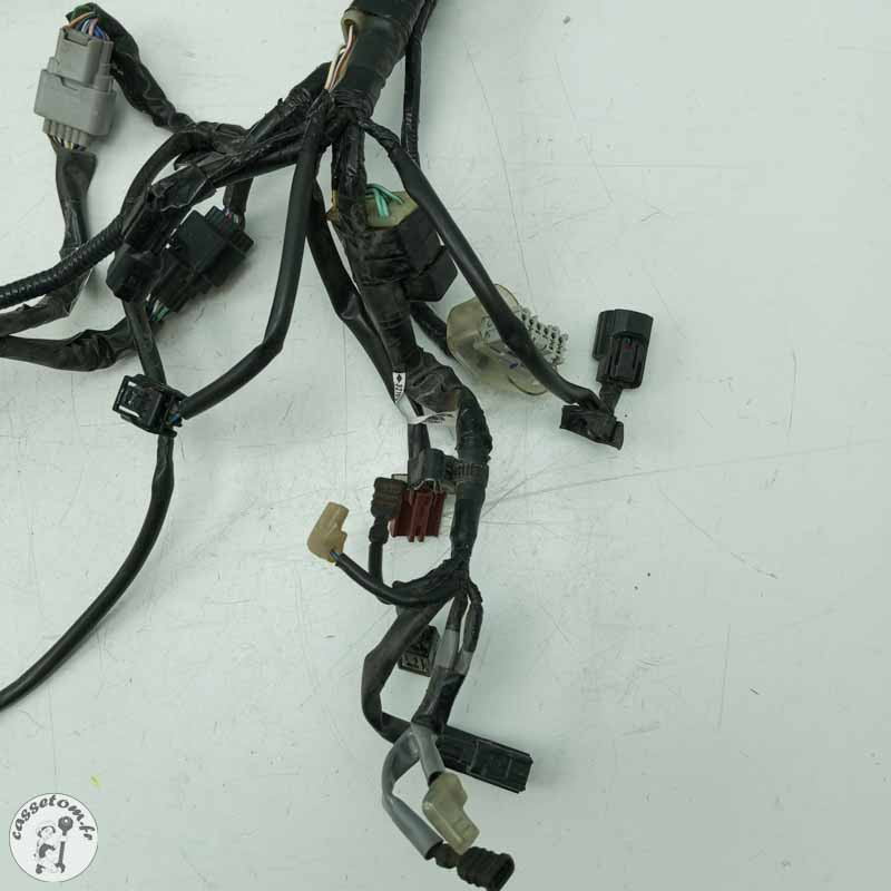 Faisceau éléctrique  Honda 650 cbr ra 2022 - Cassetom - Nos pieces motos