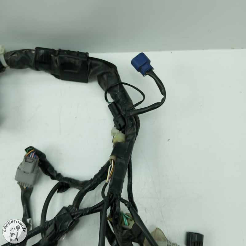 Faisceau éléctrique  Honda 650 cbr ra 2022 - Cassetom - Nos pieces motos