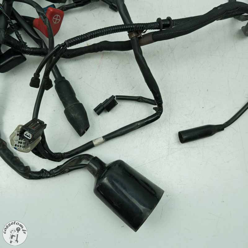 Faisceau éléctrique  Honda 650 cbr ra 2022 - Cassetom - Nos pieces motos