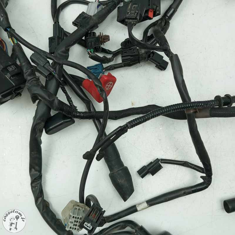 Faisceau éléctrique  Honda 650 cbr ra 2022 - Cassetom - Nos pieces motos