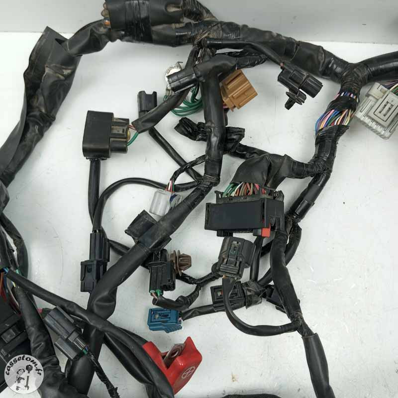 Faisceau éléctrique  Honda 650 cbr ra 2022 - Cassetom - Nos pieces motos