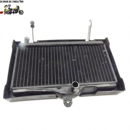 Radiateur d'eau Honda 125 Nsr 1996 - CTM-10881-033