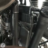 TRIUMPH STREETTWI 900 2019 accidentée - La Casse de l Oncle Tom
