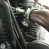 TRIUMPH STREETTWI 900 2019 accidentée - La Casse de l Oncle Tom