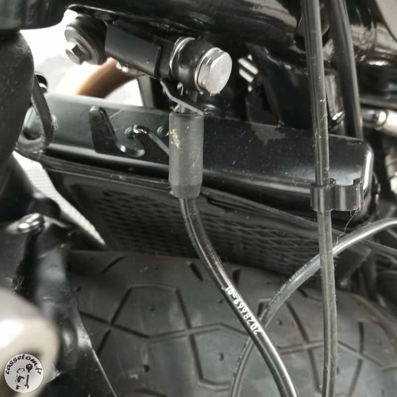 TRIUMPH STREETTWI 900 2019 accidentée - La Casse de l Oncle Tom