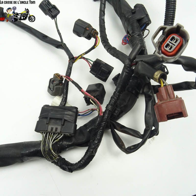 Faisceau électrique  Suzuki 650  Gladius SVF 2009 - CTM-10512-011