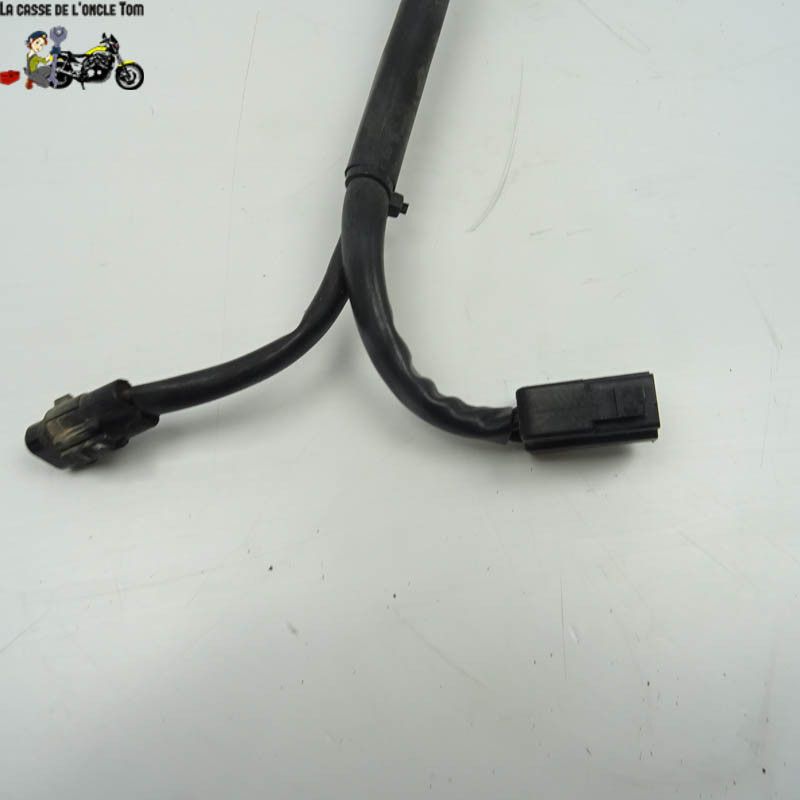 Stator Suzuki 650  Gladius SVF 2009 - CTM-10512-041