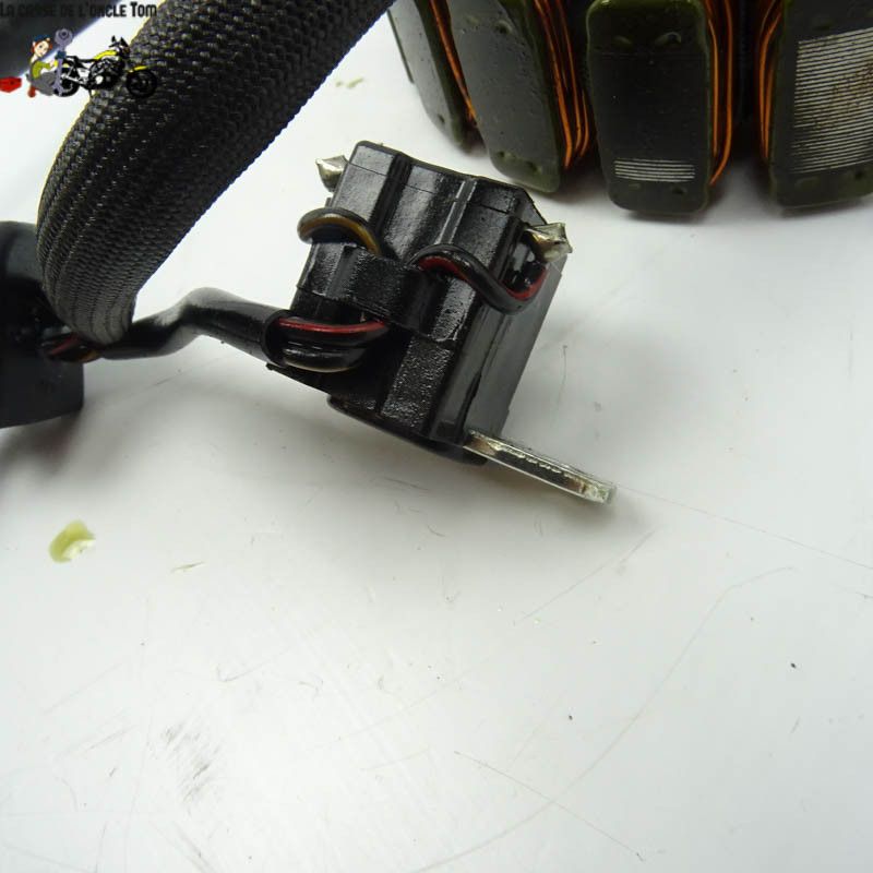 Stator Suzuki 650  Gladius SVF 2009 - CTM-10512-041