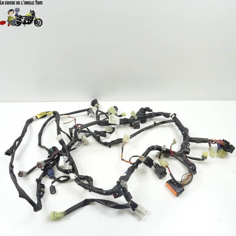 Faisceau électrique + relais Yamaha 530 t max 2013 - CTM-7933-039