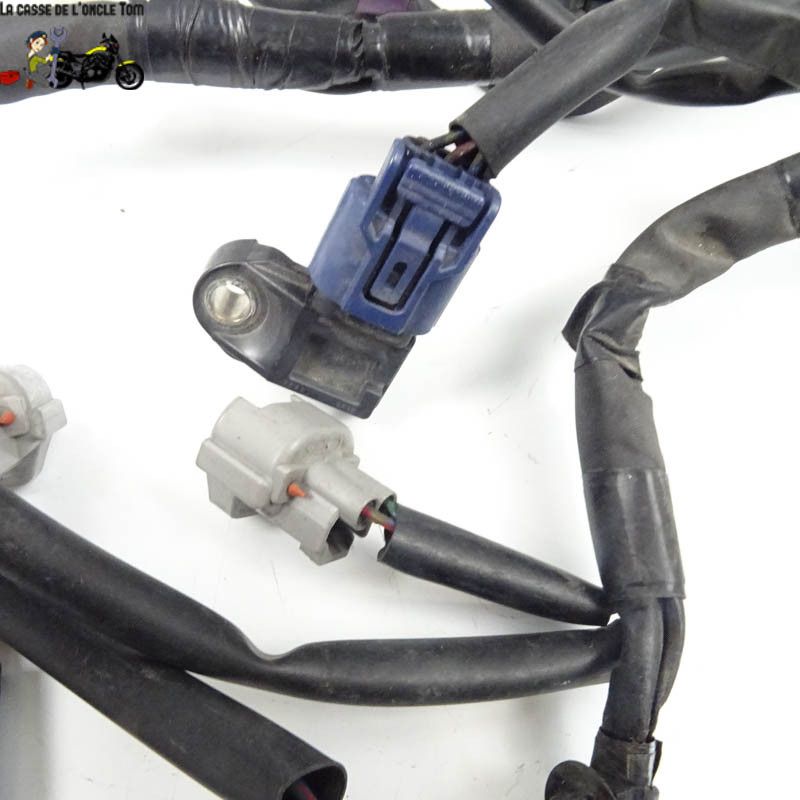 Faisceau électrique + relais Yamaha 530 t max 2013 - CTM-7933-039