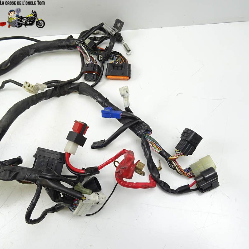 Faisceaux électrique Yamaha 1000 R1 2010 - CTM-9596-065