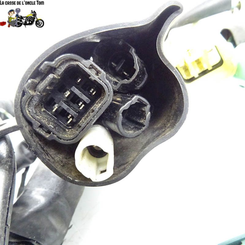 Faisceaux électrique Yamaha 1000 R1 2010 - CTM-9596-065