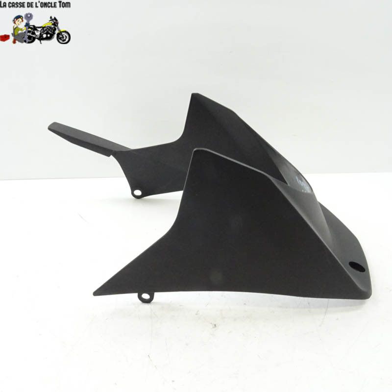 Lèche roue Arrière Honda 1000 cbr rr-r sp 2020 - CTM-10925-29
