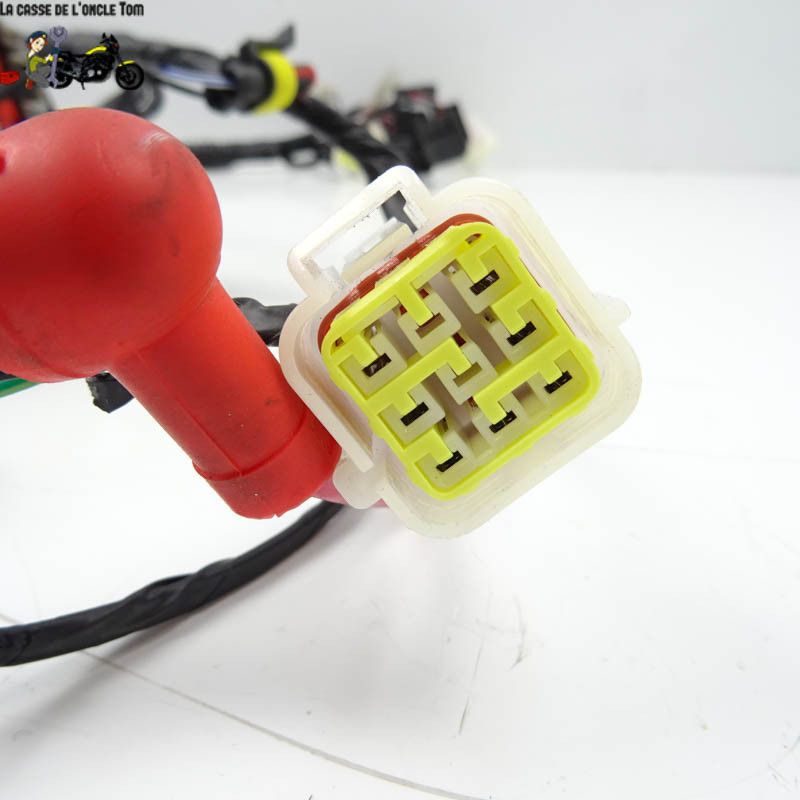 Faisceau éléctrique Keeway 50 f-act-evo 4t 2020 - CTM-10799-040