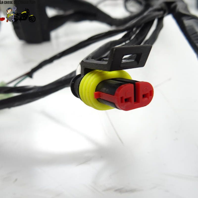 Faisceau éléctrique Keeway 50 f-act-evo 4t 2020 - CTM-10799-040