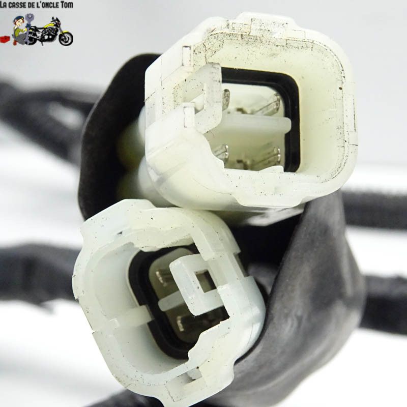 Faisceau éléctrique Keeway 50 f-act-evo 4t 2020 - CTM-10799-040