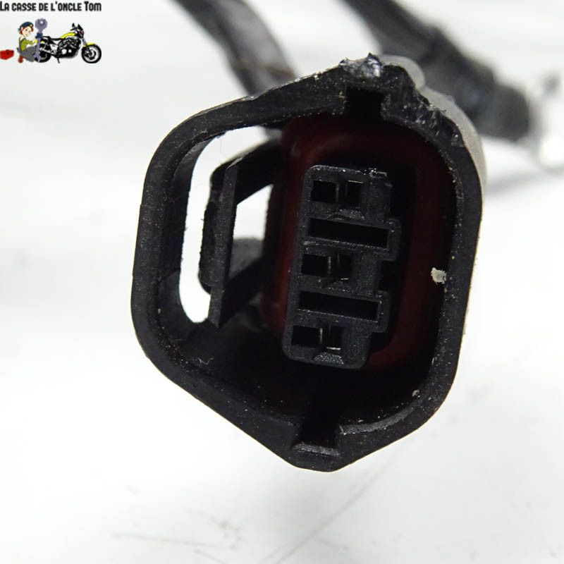 Faisceau éléctrique Keeway 50 f-act-evo 4t 2020 - CTM-10799-040