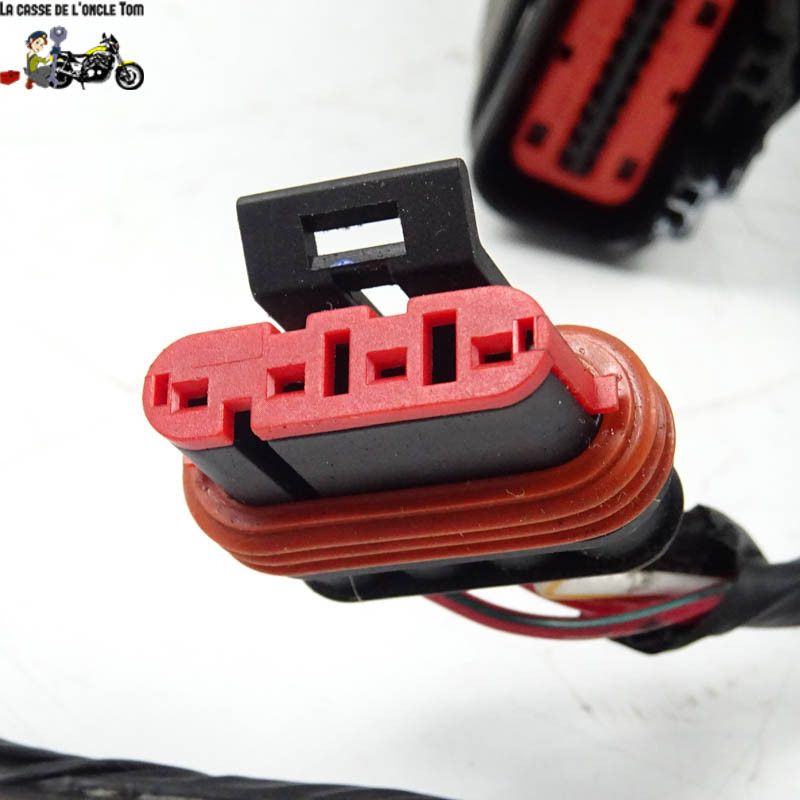 Faisceau éléctrique Keeway 50 f-act-evo 4t 2020 - CTM-10799-040