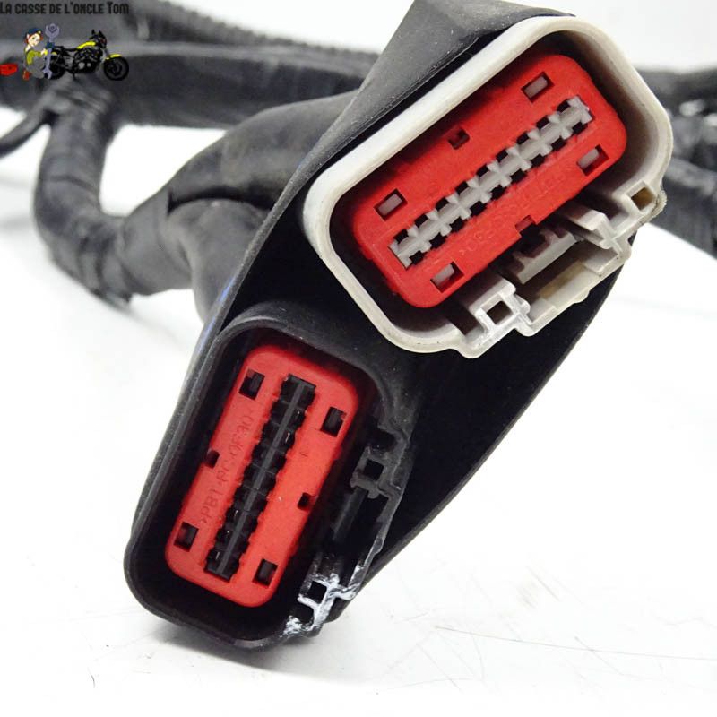 Faisceau éléctrique Keeway 50 f-act-evo 4t 2020 - CTM-10799-040