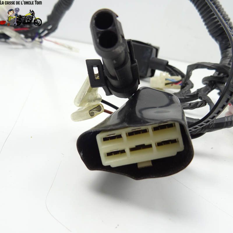 Faisceau éléctrique Keeway 50 f-act-evo 4t 2020 - CTM-10799-040