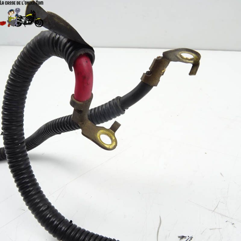 Câbles de batterie Suzuki 650 sv 1999 - CTM-9199-014