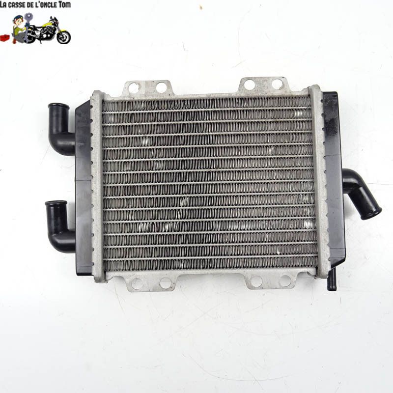 Radiateur d'eau Peugeot 50 jet force 2006 - Cassetom - Nos pièces motos