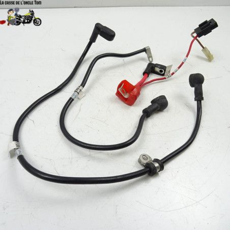 Câbles de batterie Triumph 765 street triple 2017 - CTM-11289-034