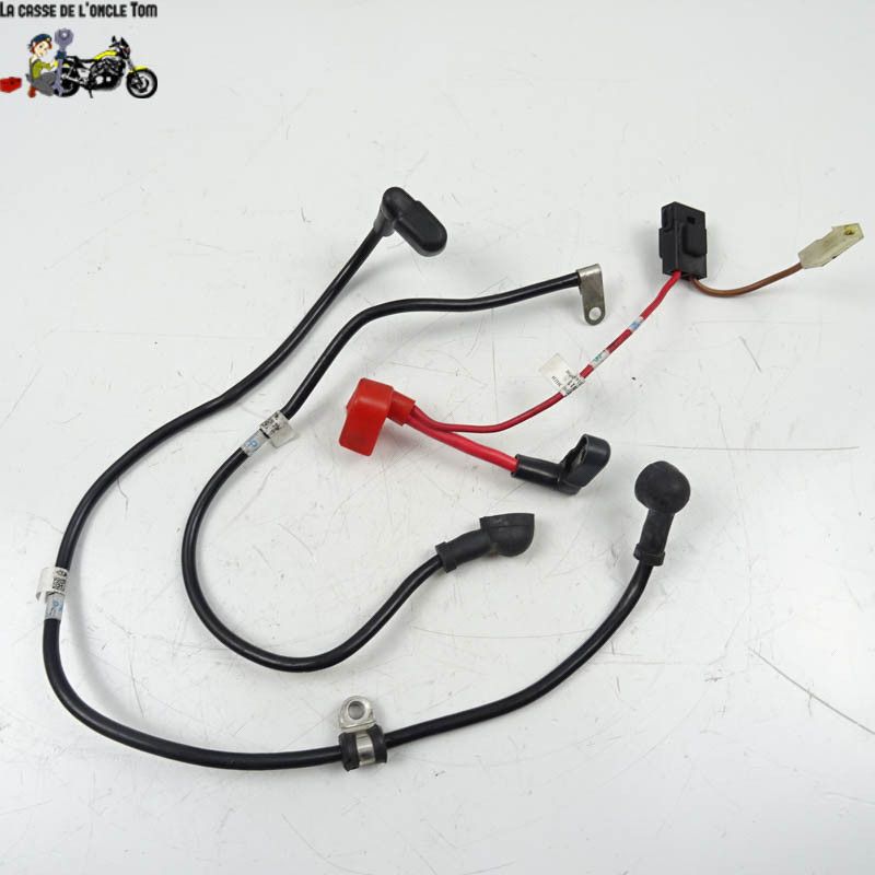 Câbles de batterie Triumph 765 street triple 2017 - CTM-11289-034