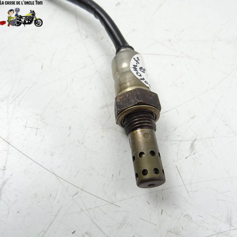 Sonde lambda Triumph 765 street triple 2017 - CTM-11289-076