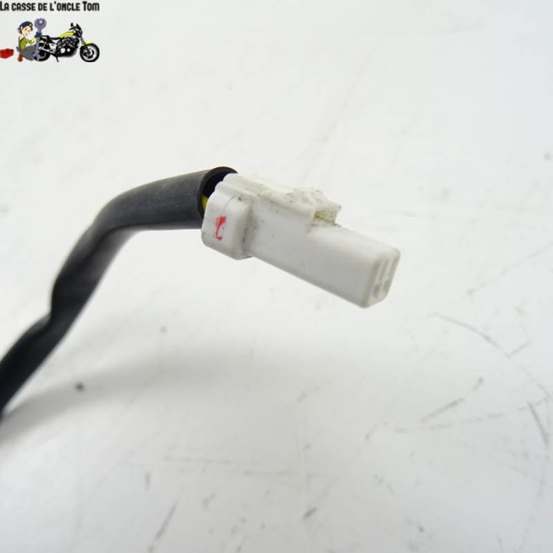 Eclairage de plaque Ducati 1200 MULTISTRADA S 2017 - CTM-10306-106