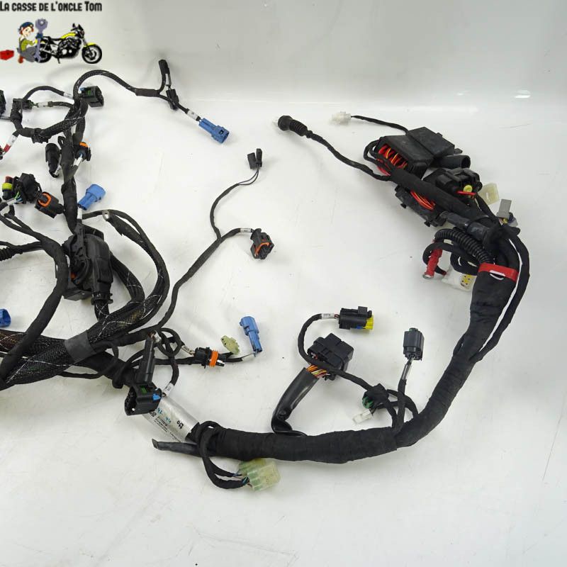 Faisceau éléctrique Ducati 1200 MULTISTRADA S 2017 - CTM-10306-122