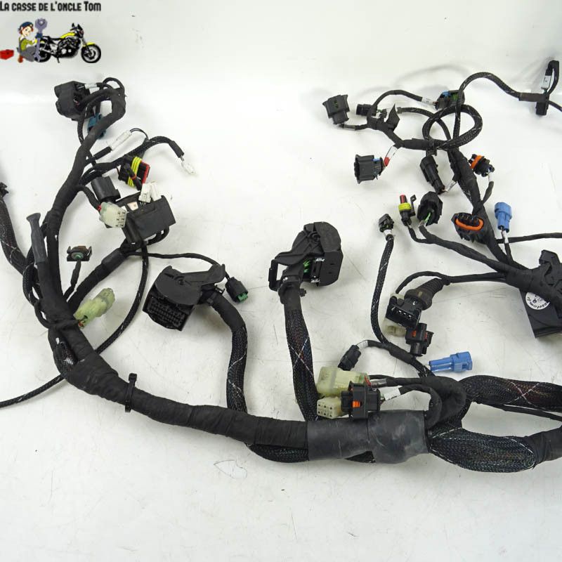 Faisceau éléctrique Ducati 1200 MULTISTRADA S 2017 - CTM-10306-122