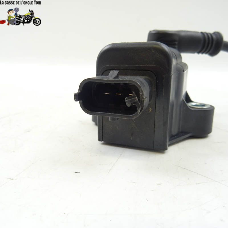 Bobine d'allumage (long fil 16cm) Ducati 1200 MULTISTRADA S 2017 - CTM-10306-084