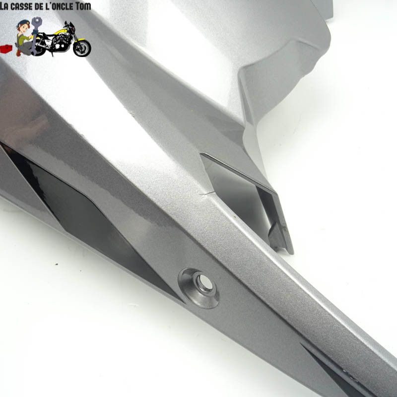 Cache reservoir KTM 1290 Super Adventure S 2020 - CTM-11062-125