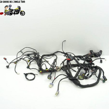 Faisceau éléctrique KTM 1290 Super Adventure S 2020 - CTM-11062-097