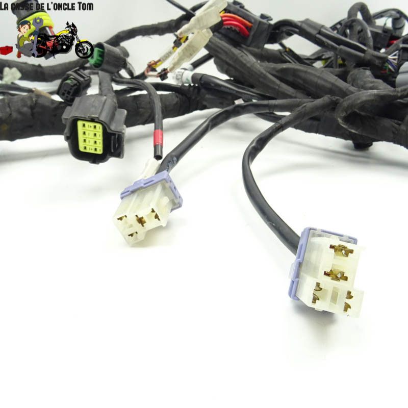 Faisceau éléctrique KTM 1290 Super Adventure S 2020 - CTM-11062-097