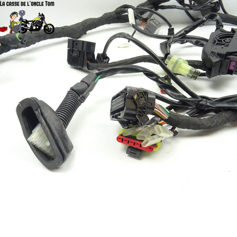 Faisceau éléctrique KTM 1290 Super Adventure S 2020 - CTM-11062-097