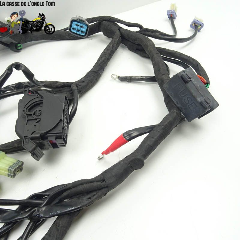 Faisceau éléctrique KTM 1290 Super Adventure S 2020 - CTM-11062-097