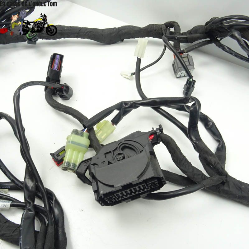 Faisceau éléctrique KTM 1290 Super Adventure S 2020 - CTM-11062-097