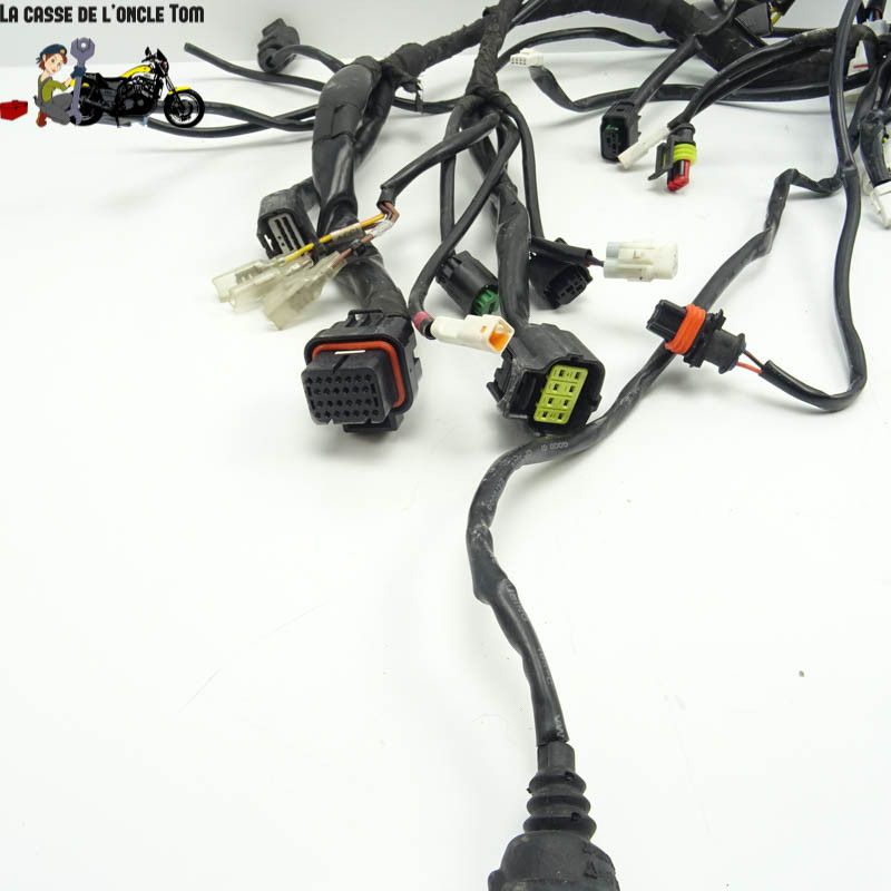 Faisceau éléctrique KTM 1290 Super Adventure S 2020 - CTM-11062-097